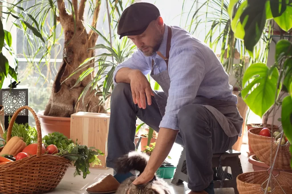 outdoor DIY projects