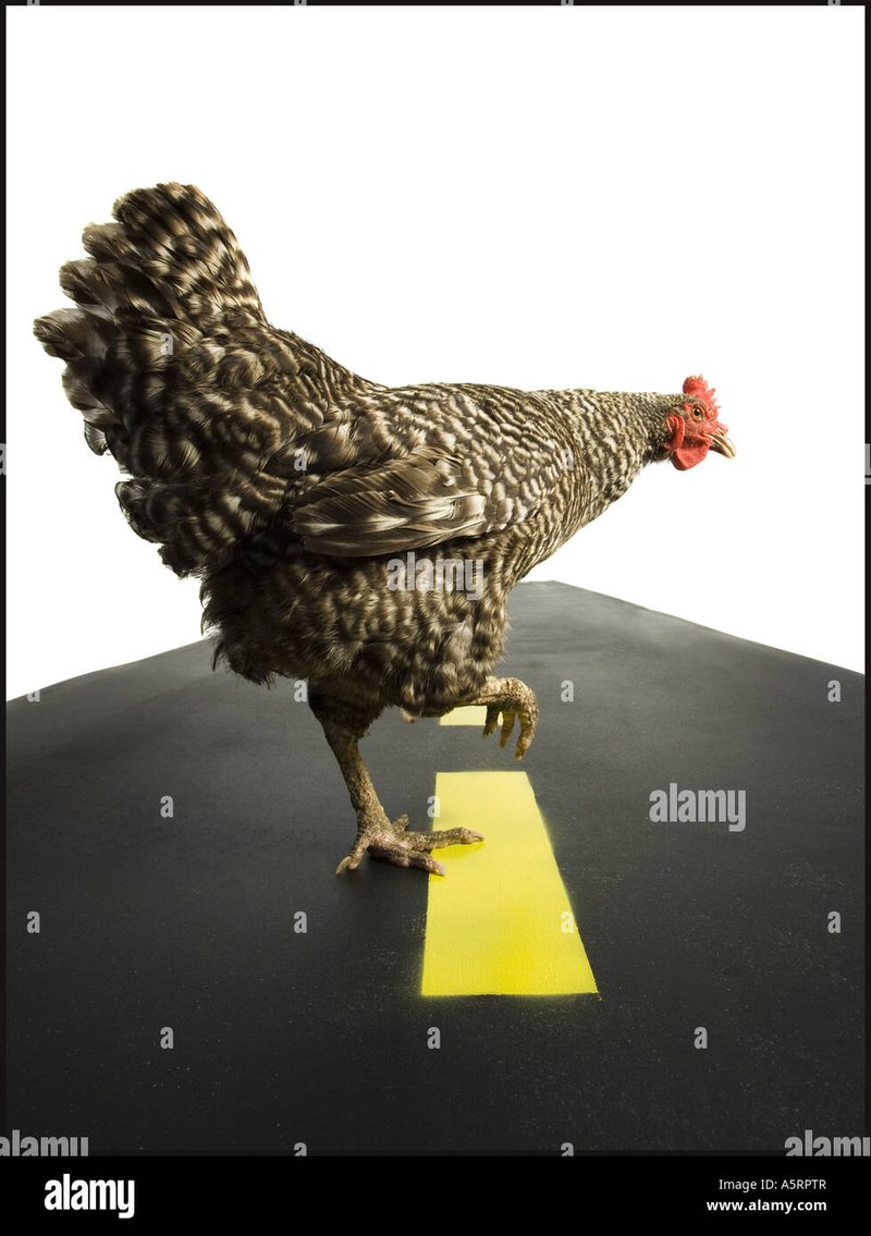 Descubre el Año Nuevo con la Experiencia de Juego Chicken Road en España - overview