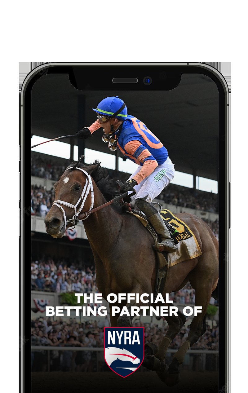 Netherlands - nyxbets online